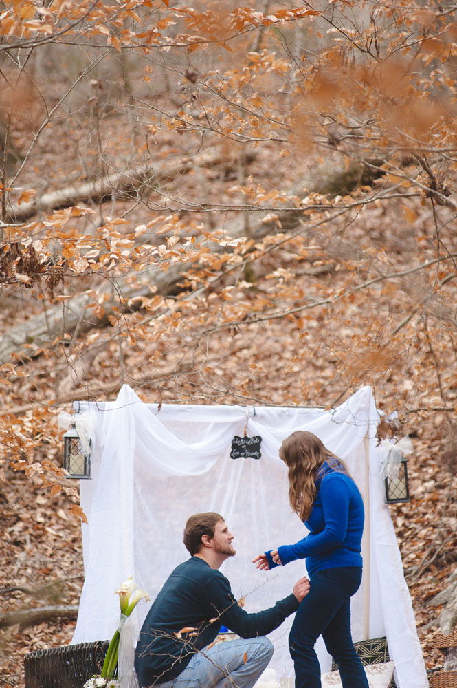 newberry, sc proposal photography