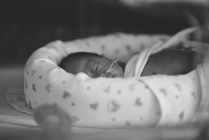 nicu-portraits_01